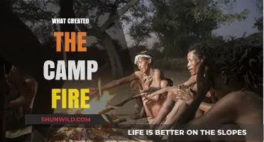 Unraveling the Devastating Origins of California's Camp Fire Disaster