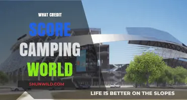 Understanding Camping World's Credit Score Requirements for Financing Options