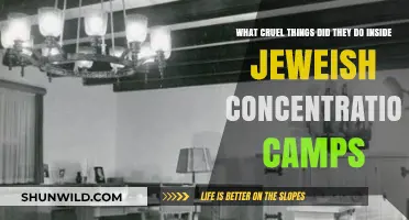 Unimaginable Atrocities: The Cruel Realities of Jewish Concentration Camps