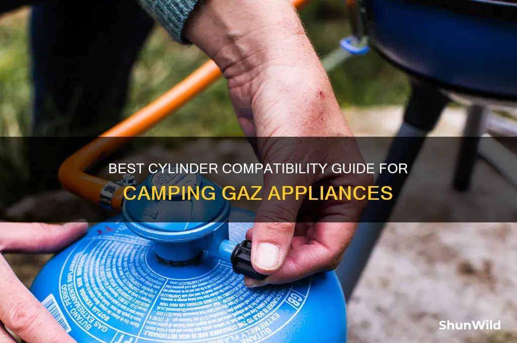 what cylinders fit camping gaz