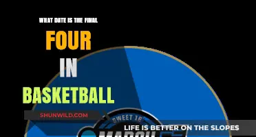 When is the Basketball Final Four?