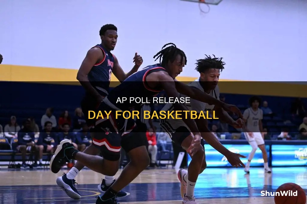 what day do the ap polls come out for basketball