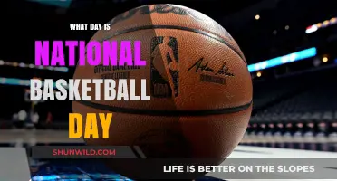 Hoop Dreams: National Basketball Day Explained