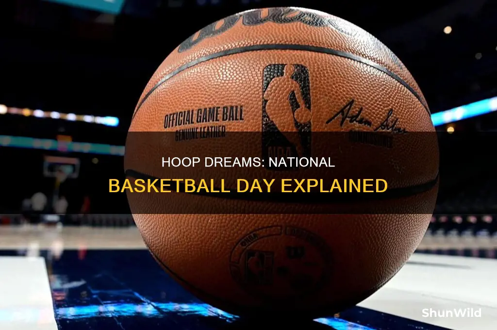 what day is national basketball day