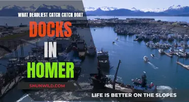 Deadliest Catch Boats Dock in Homer: What's the Appeal?