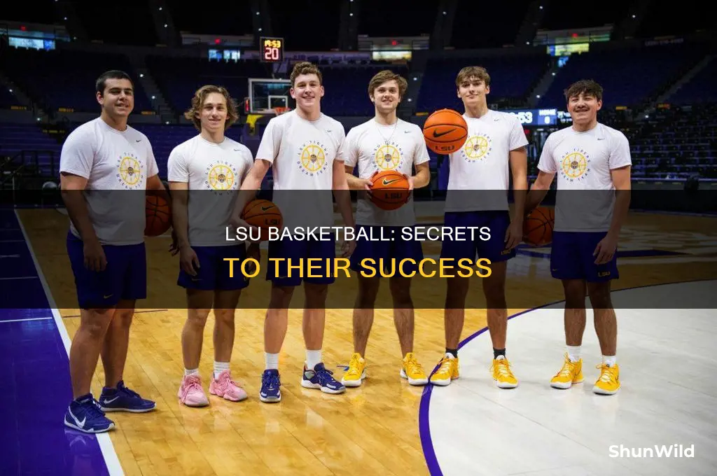 what defece does lsu in basketball