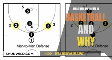 Mastering the Art of Defense: Strategies for Dominating the Court