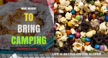 Sweet Outdoor Treats: Best Camping Desserts for Your Adventure