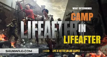 LifeAfter Camp Dynamics: Key Factors Shaping Your Survival Experience
