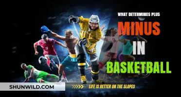 Plus-Minus Impact: Basketball's Unseen Factors