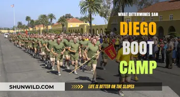 Key Factors Shaping San Diego Boot Camp Programs and Success