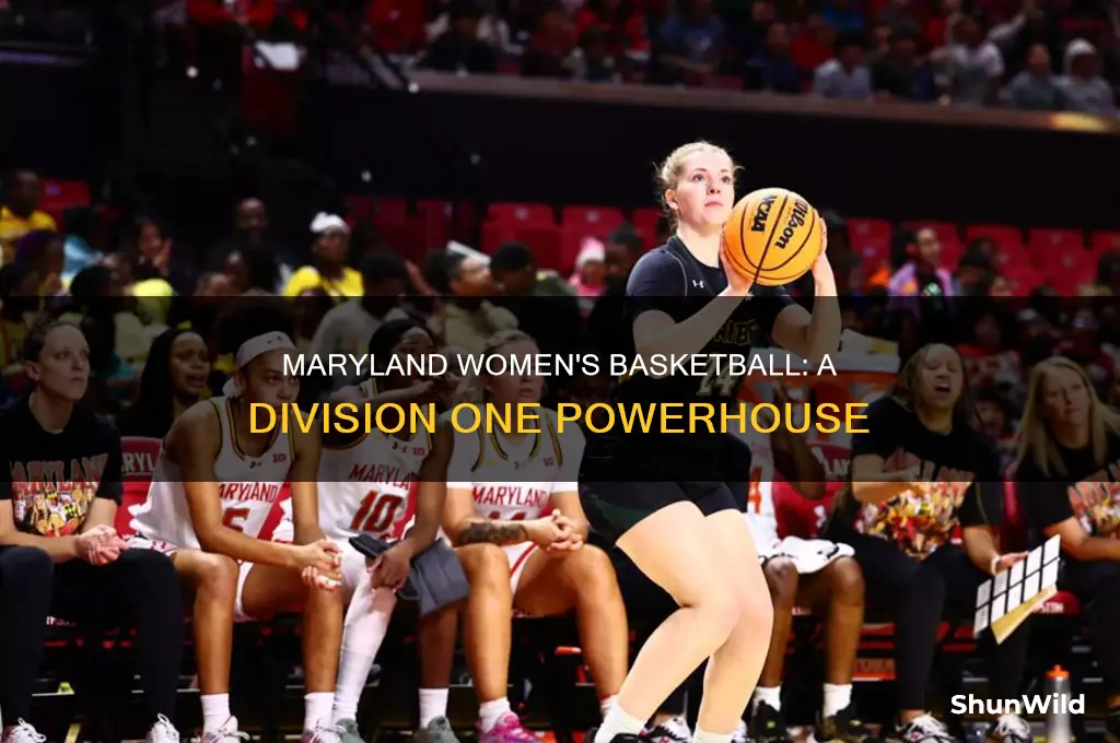 what devision is maryland womans basketball