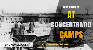 Life in Concentration Camps: Daily Activities and Forced Labor Explained