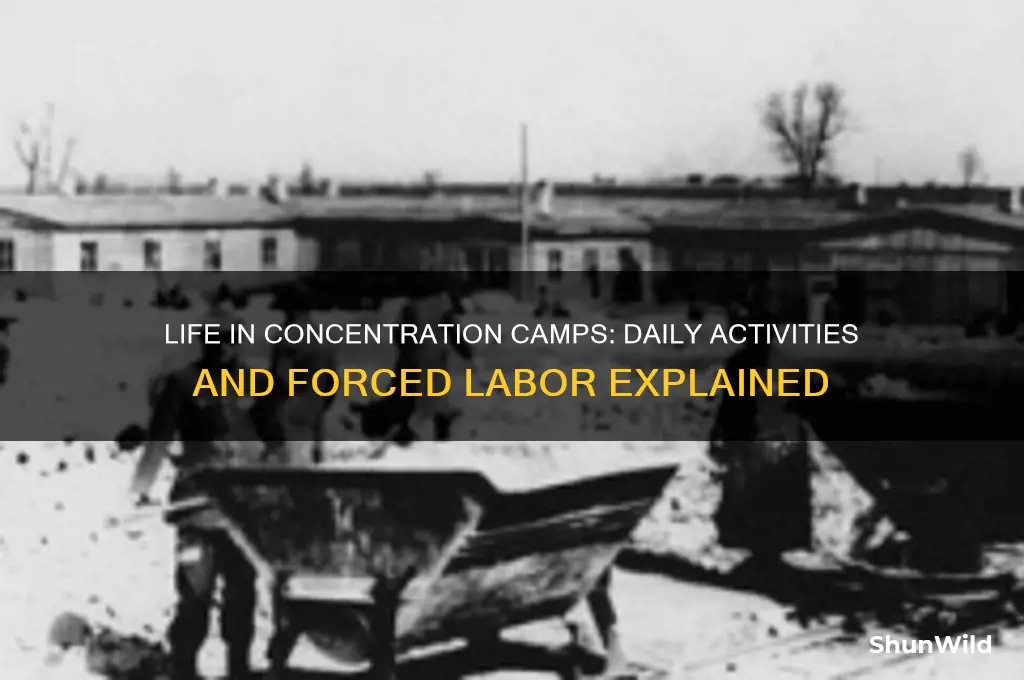 what di peple do at concentration camps