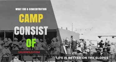 Inside the Horrors: Understanding the Structure of Concentration Camps