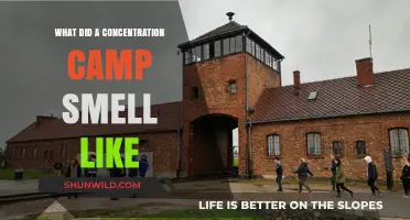 The Haunting Scents of a Concentration Camp: A Survivor's Memory