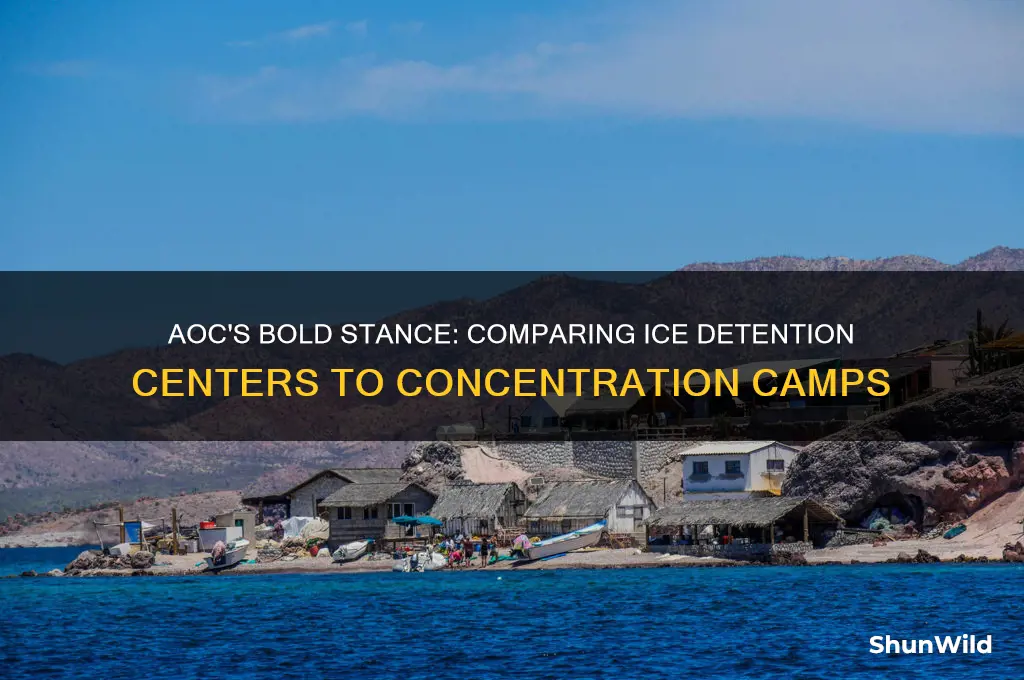 what did alexandria ocasio say about concentration camps