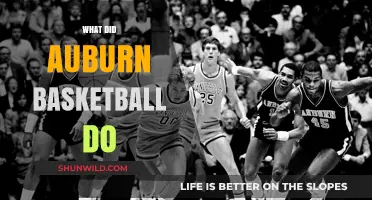 Auburn Basketball: A Legacy of Triumph and Adversity
