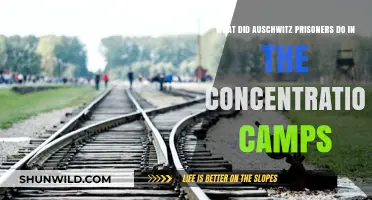 Auschwitz Prisoners' Daily Struggles and Forced Labor in Concentration Camps