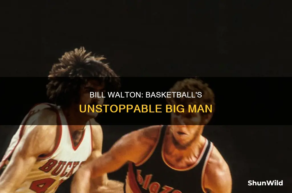 what did bill walton do special in basketball
