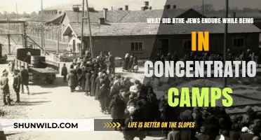 Enduring Hell: The Jewish Experience in Concentration Camps
