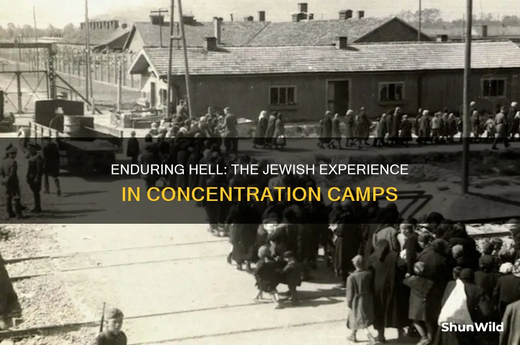 what did bthe jews endure while being in concentration camps