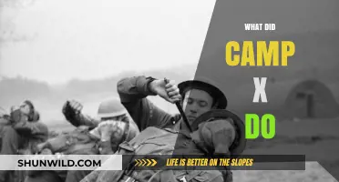Unveiling Camp X: Canada's Secret WWII Spy Training Legacy