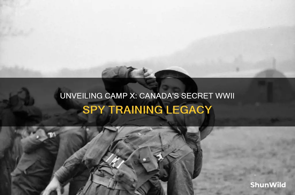 what did camp x do