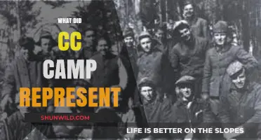 CC Camp: Unveiling Its Cultural Significance and Lasting Legacy