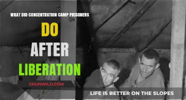 Life After Liberation: Concentration Camp Survivors' Journeys and Resilience