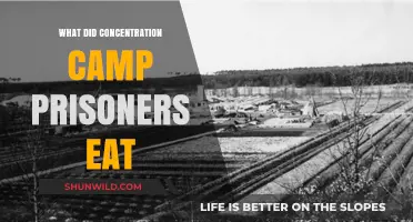 Surviving on Scraps: The Grim Diet of Concentration Camp Prisoners