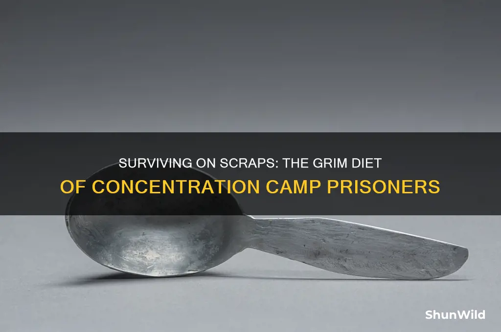 what did concentration camp prisoners eat