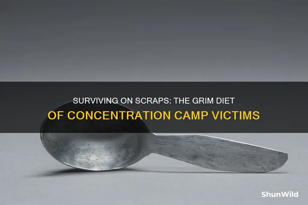 what did concentration camp victoms eat