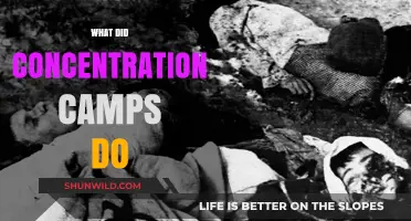 Unveiling the Horrors: Understanding the Purpose of Concentration Camps