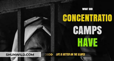Inside Concentration Camps: Harsh Realities and Daily Life Explained