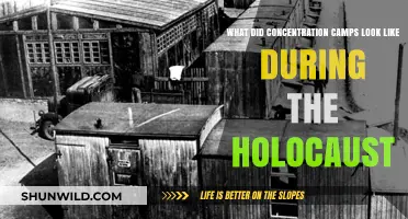 Inside the Horrors: Visualizing Holocaust Concentration Camps' Grim Reality