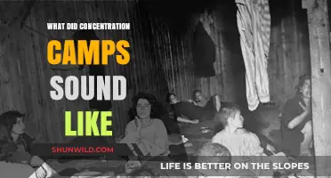Echoes of Horror: The Haunting Sounds of Concentration Camps