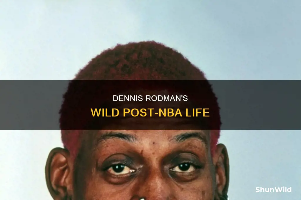 what did dennis rodman do after basketball