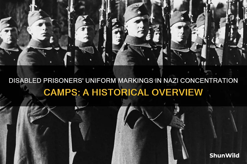 what did disabled people have on their concentration camp uniforms