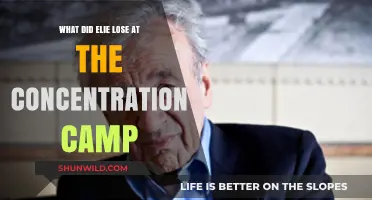 Elie Wiesel's Losses: Identity, Faith, and Humanity in the Holocaust
