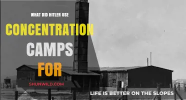 Hitler's Concentration Camps: Purpose, Atrocities, and Historical Impact