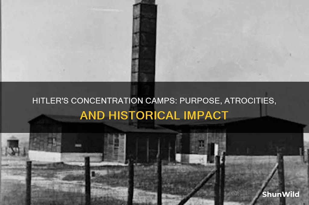 what did hitler use concentration camps for