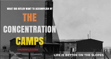 Hitler's Concentration Camps: Goals, Atrocities, and Historical Impact