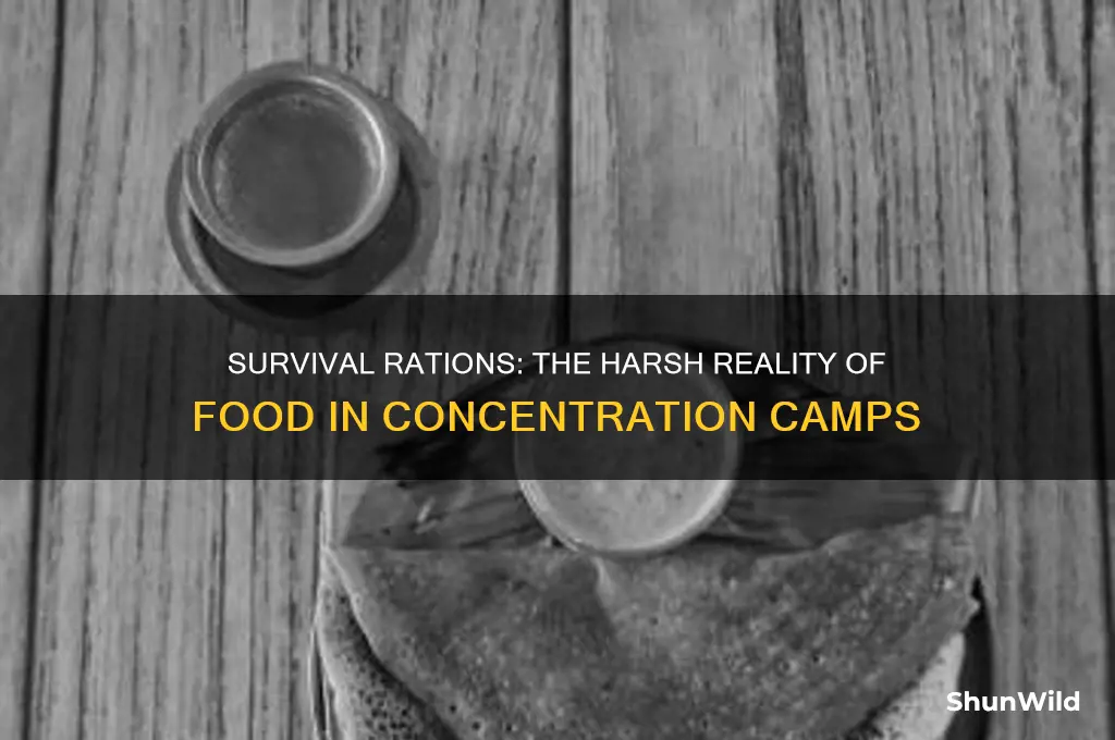 what did jewish people eat in concentration camps