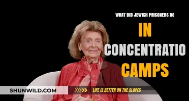 Jewish Prisoners' Resilience and Survival Strategies in Concentration Camps