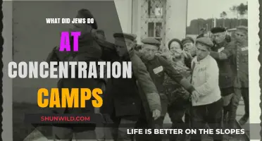 Life in Concentration Camps: Jewish Resilience, Resistance, and Daily Struggles