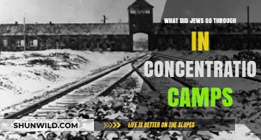 Unimaginable Suffering: The Jewish Experience in Nazi Concentration Camps
