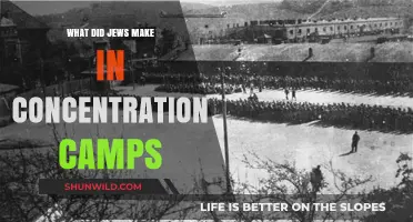Forced Labor in Concentration Camps: What Jews Were Compelled to Create