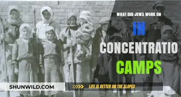 Forced Labor in Concentration Camps: Jewish Roles and Realities