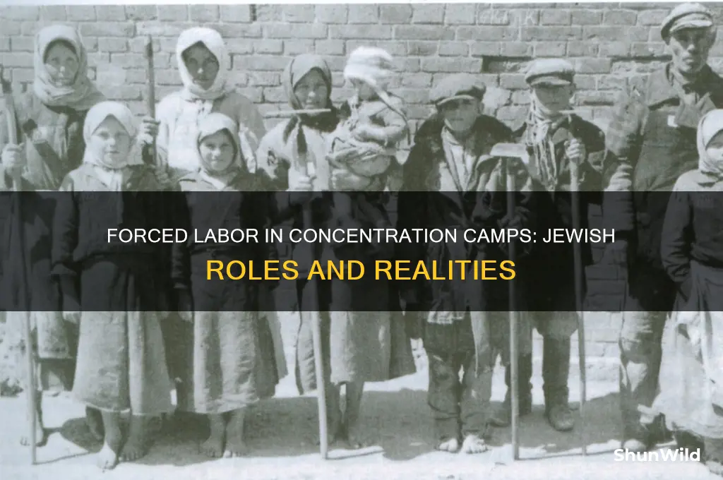 what did jews work on in concentration camps